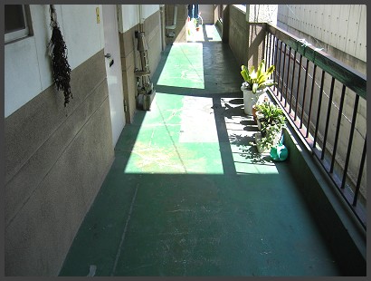マンション廊下通路床FRP防水塗装の施工前